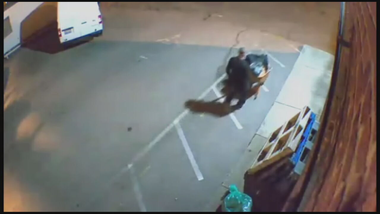La Chandeleur Thief Surveillance